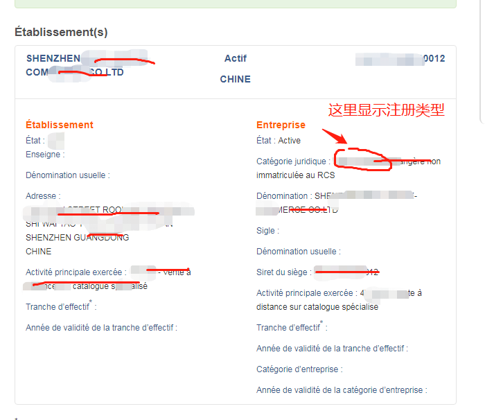 法国VAT税号验证
